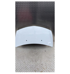 Capot RENAULT CLIO 3 Photo n°1