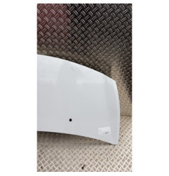 Capot RENAULT CLIO 3 Photo n°3