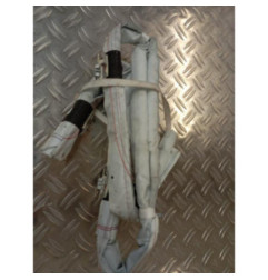 Air bag rideau gauche PEUGEOT 2008 1 Photo n°1