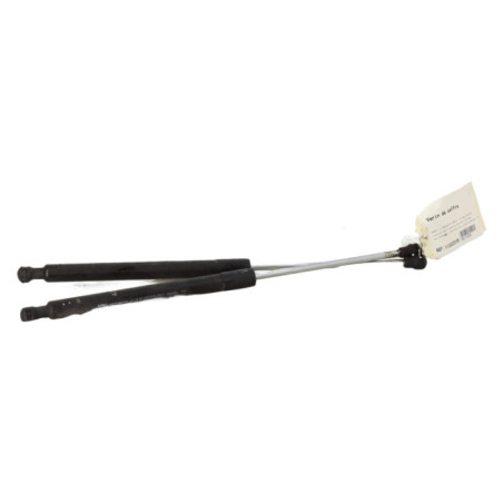 Verin de coffre RENAULT CLIO 3