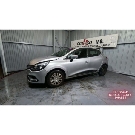 Eclairage de plafonnier RENAULT CLIO 4