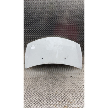 Capot RENAULT CLIO 3 Photo n°1