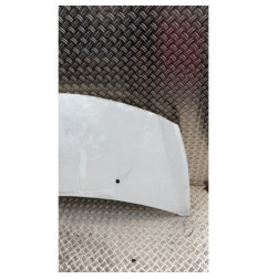 Capot RENAULT CLIO 3 Photo n°3