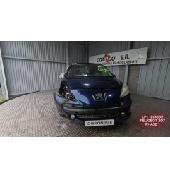 Mastervac PEUGEOT 207 Photo n°1