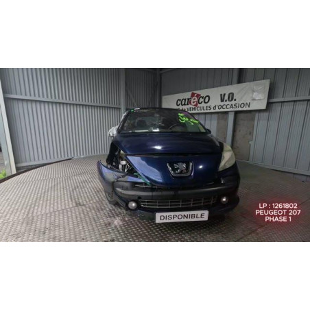 Pedale d'accelerateur PEUGEOT 207 Photo n°1