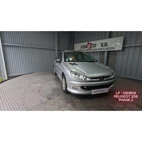 Mastervac PEUGEOT 206 Photo n°1