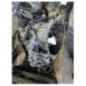 Boite de vitesses RENAULT SCENIC 3