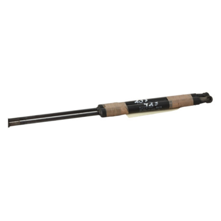 Verin de coffre CITROEN C3 3