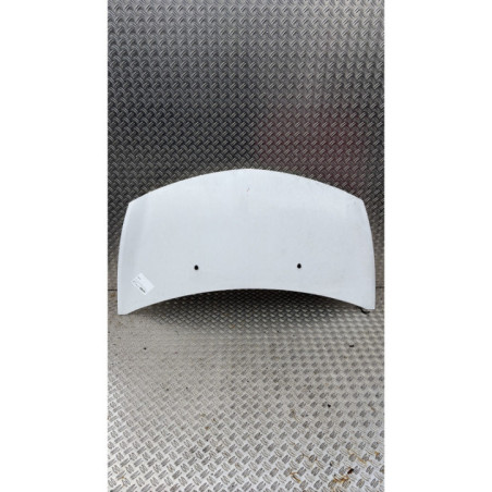 Capot RENAULT CLIO 3 Photo n°1