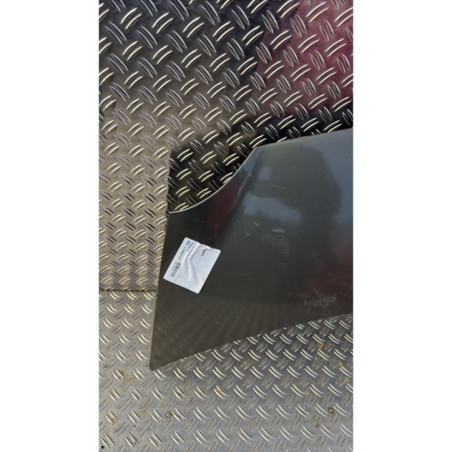 Capot RENAULT MODUS