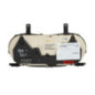 Compteur RENAULT CLIO 2