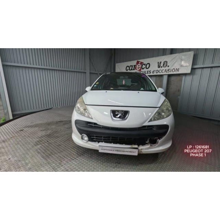 Mastervac PEUGEOT 207 Photo n°1