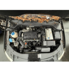 Renfort pare choc arriere (traverse) VOLKSWAGEN PASSAT 5 Photo n°11