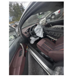 Porte avant gauche FORD FIESTA 6 Photo n°11