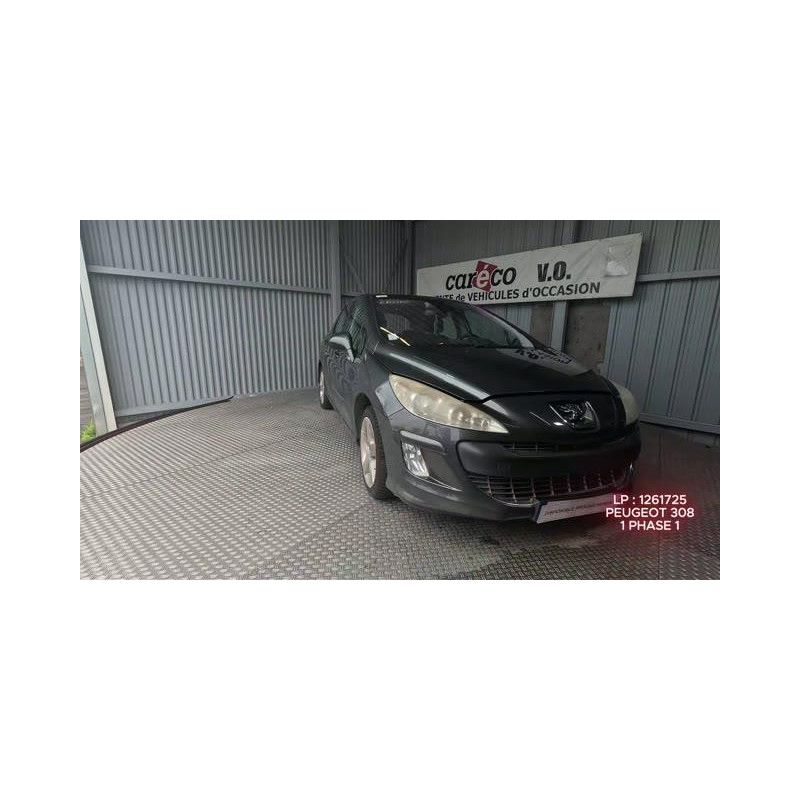 Pompe immergee PEUGEOT 308 1
