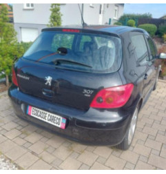 Etrier avant gauche (freinage) PEUGEOT 307 Photo n°9