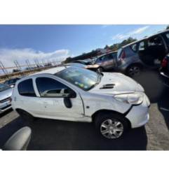 Porte arriere gauche PEUGEOT 206+ Photo n°11