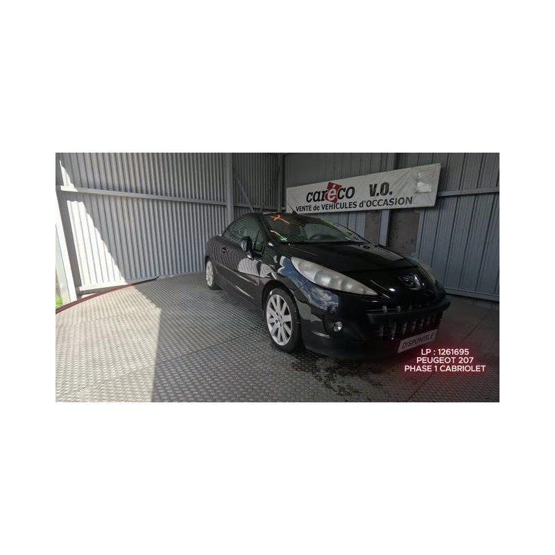 Mastervac PEUGEOT 207