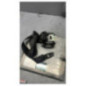 Ceinture avant droit VOLKSWAGEN TOUAREG 1