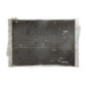 Radiateur eau BMW X5 E70