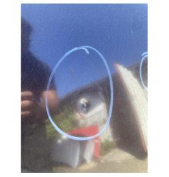 Capot VOLKSWAGEN EOS Photo n°1