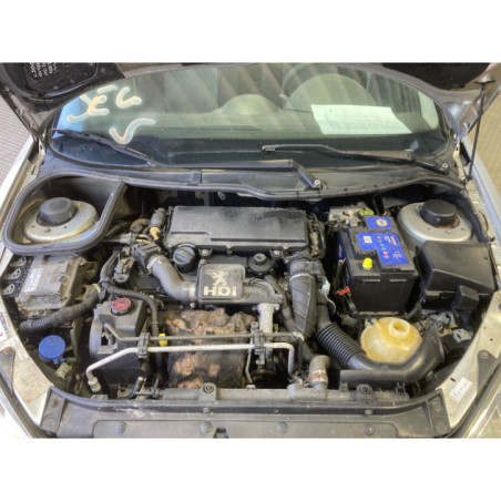 Mastervac PEUGEOT 206