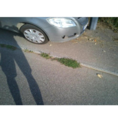 Com (Bloc Contacteur Tournant+Commodo Essuie Glace+Commodo Phare) SKODA ROOMSTER Photo n°5