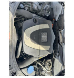 Porte arriere gauche MERCEDES CLASSE S 221 Photo n°20