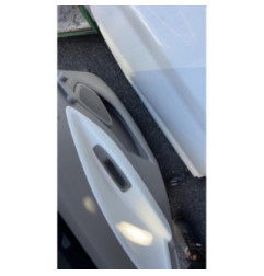 Porte arriere gauche RENAULT ZOE 1