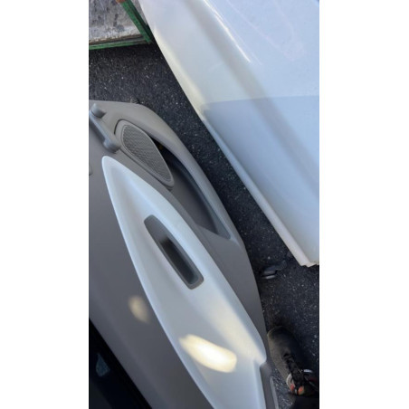 Porte arriere gauche RENAULT ZOE 1