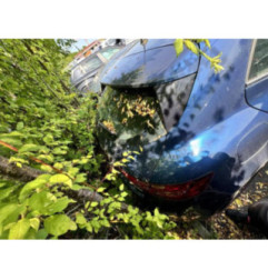 Ecran GPS RENAULT MEGANE 4 Photo n°20