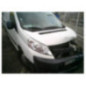 Pompe de direction PEUGEOT EXPERT 2