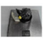 Pompe de direction RENAULT MASTER 3