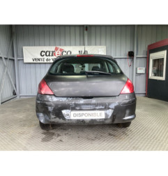 Mastervac PEUGEOT 308 1 Photo n°9