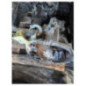 Boite de vitesses CITROEN C3 3