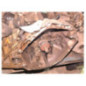 Boite de vitesses RENAULT CLIO 3