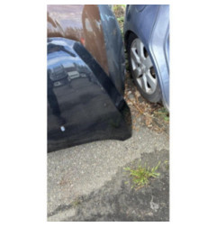 Capot FORD B-MAX Photo n°3