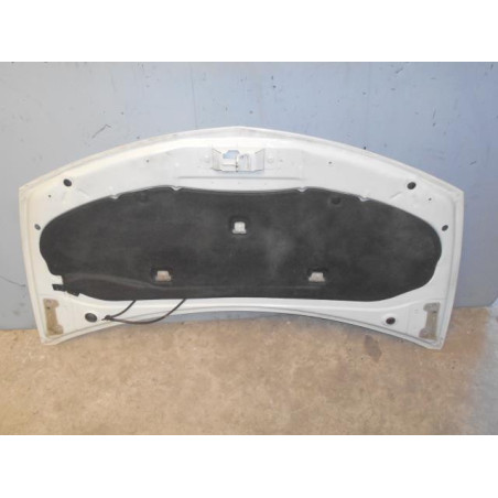 Capot RENAULT CLIO 3