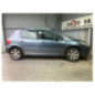 Mastervac PEUGEOT 307