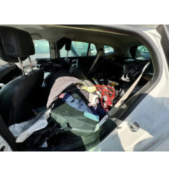 Porte arriere droit RENAULT MEGANE 3 Photo n°17