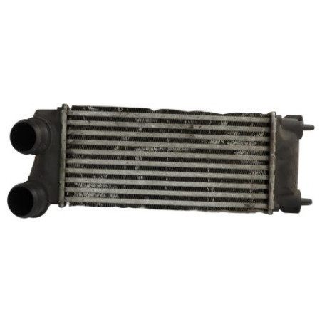 Echangeur air (Intercooler) PEUGEOT 5008 1 Photo n°1