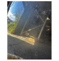 Capot RENAULT SCENIC 3