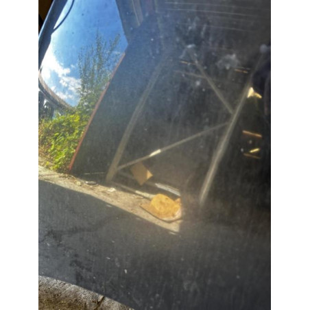 Capot RENAULT SCENIC 3