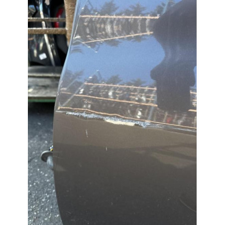 Porte arriere gauche HYUNDAI IX 20 Photo n°1