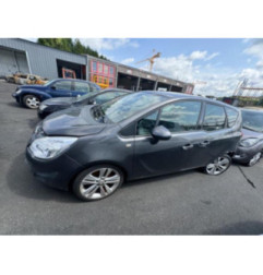 Porte avant gauche OPEL MERIVA B Photo n°8