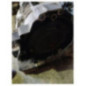 Boite de vitesses AUDI A6 2