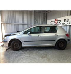 Mastervac PEUGEOT 307 Photo n°3