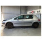 Mastervac PEUGEOT 307