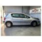 Mastervac PEUGEOT 307