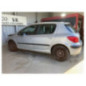 Mastervac PEUGEOT 307